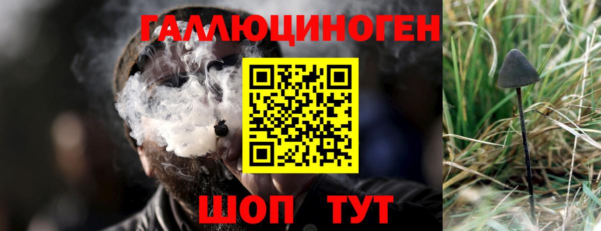 Галлюциногенные грибы ЛСД  даркнет сайт  Северск  Вход с VPN  Галлюциногенные грибы ЛСД 